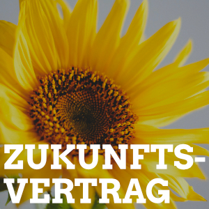 Sonnenblume Zukunftsvertrag
